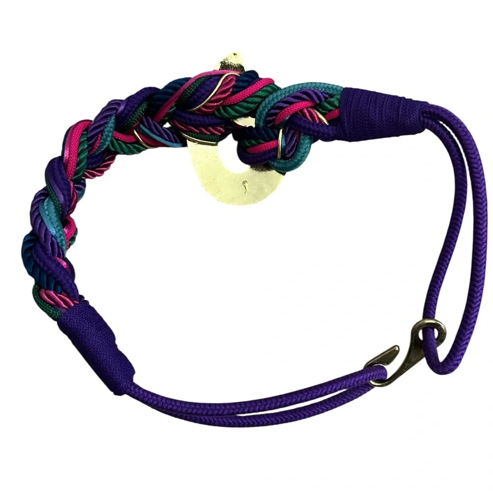 Multicolor Braided Belt with Gold Accent - Picture 2 of 7